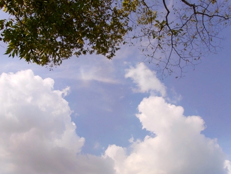 R0013041