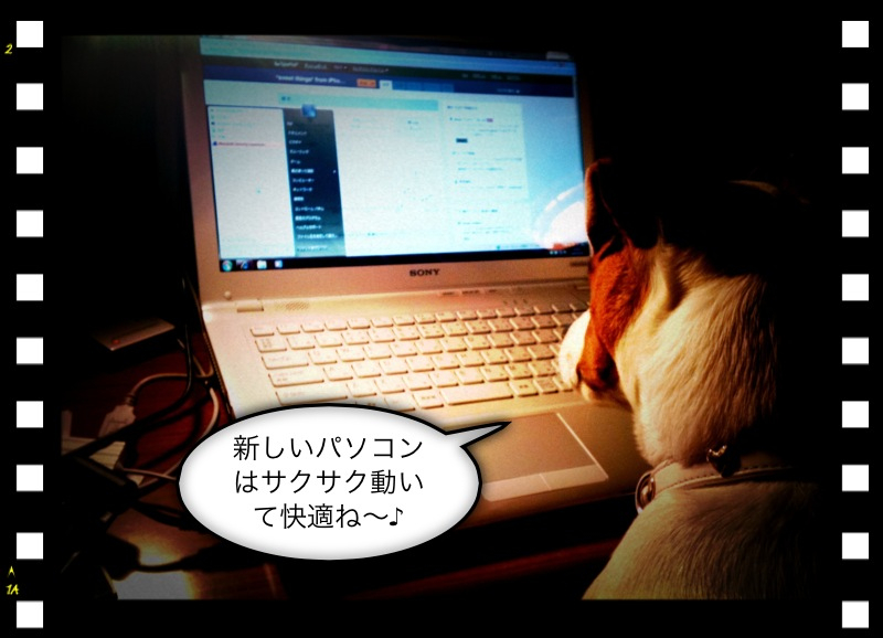 New VAIO New VAIO