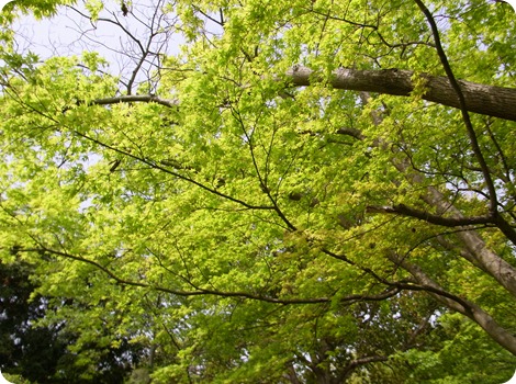 R0010404