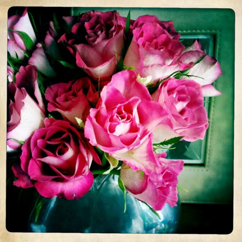 ピンクのバラをお部屋に飾ってみた
