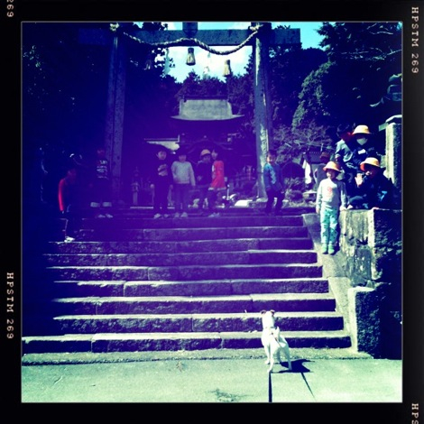 鰐鳴八幡宮