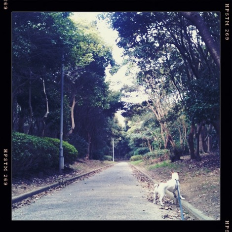 浜河内緑地公園