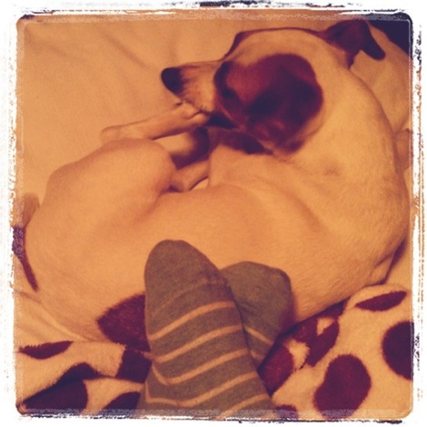 Chillin' with my dog