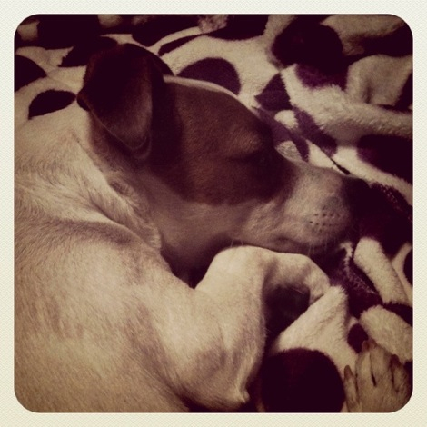 Good night and sweet dream!