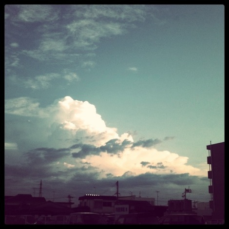 夕方のお散歩