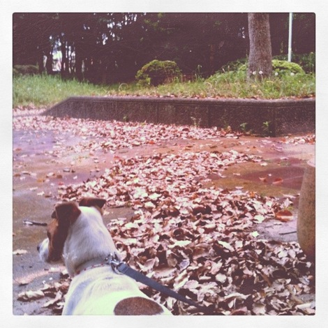 雨宿り