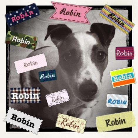 Labelbox