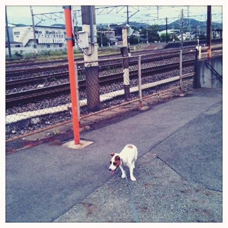 もう帰ろ〜っ！