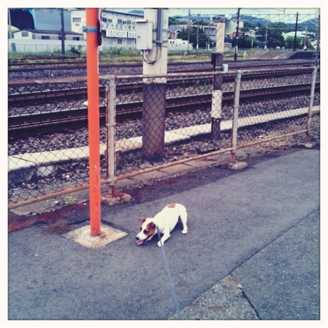 もう帰ろ〜っ！