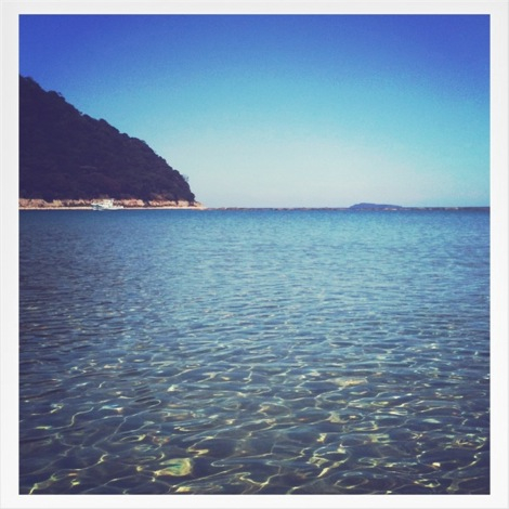 萩の海‼