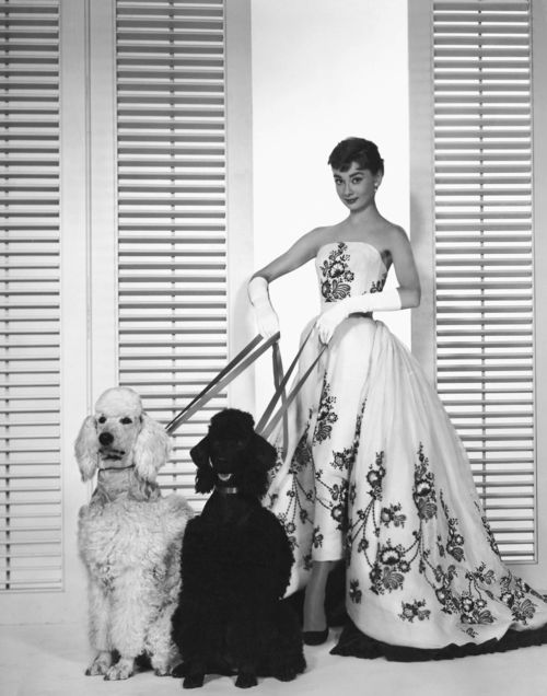 Annex-hepburn-audrey_022