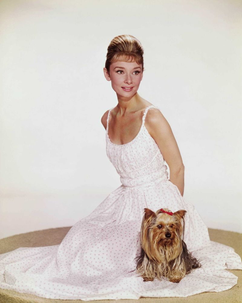 Audrey-Hepburn-audrey-hepburn-21766852-1866-2334