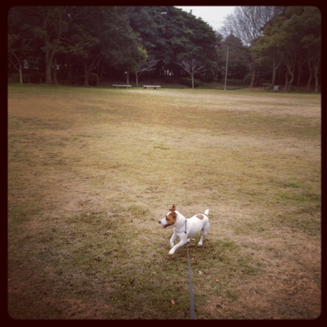 公園大好き♡