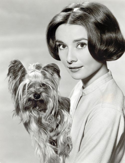 Annex-hepburn-audrey_022