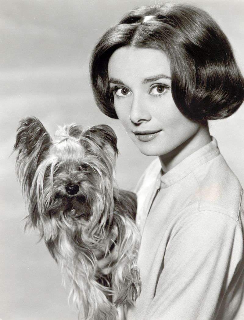 Audrey-Hepburn-audrey-hepburn-21766332-1955-2560