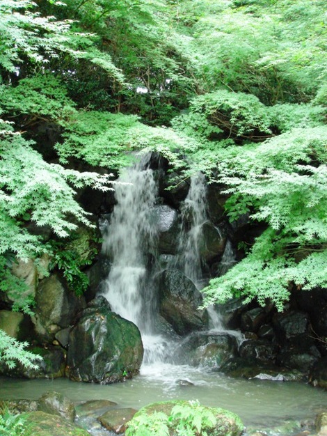 Dsc08275