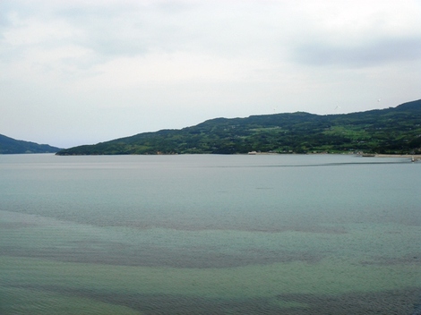 Dsc08355