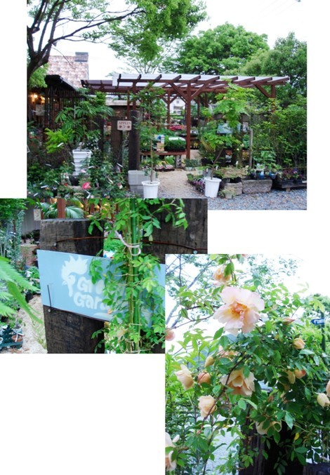 Greem2_4