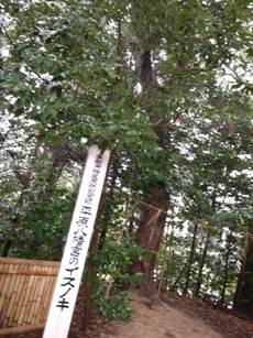R0011779