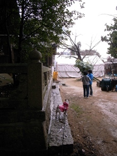 R0011781