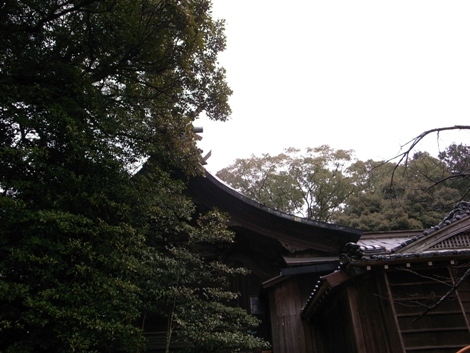R0011782