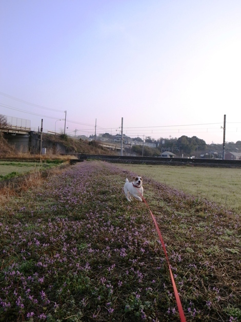 R0012133