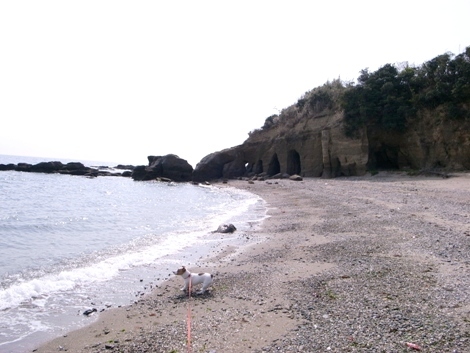 R0012206