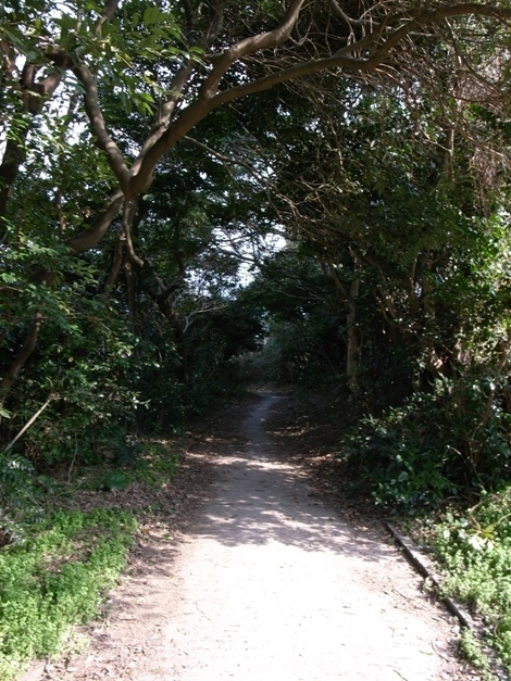 R0012246
