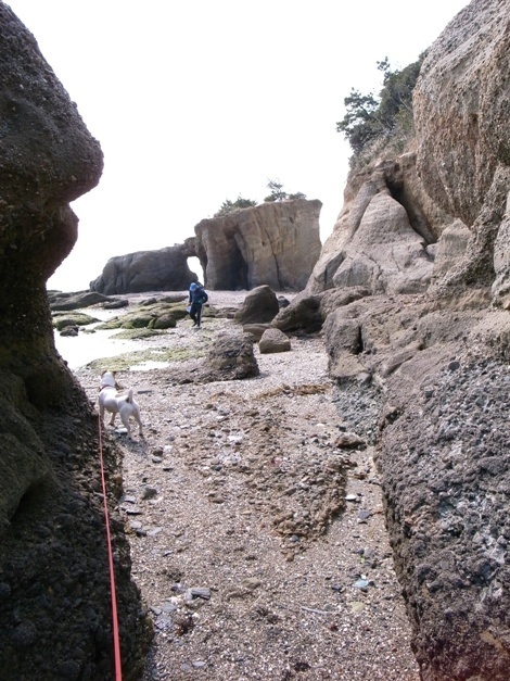R0012233
