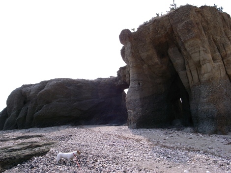 R0012235