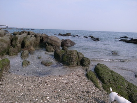 R0012238