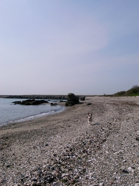 R0012242