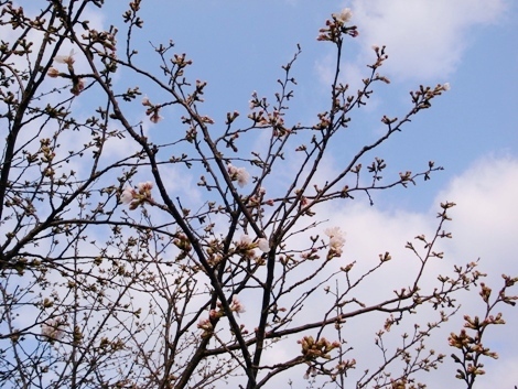 R0012265