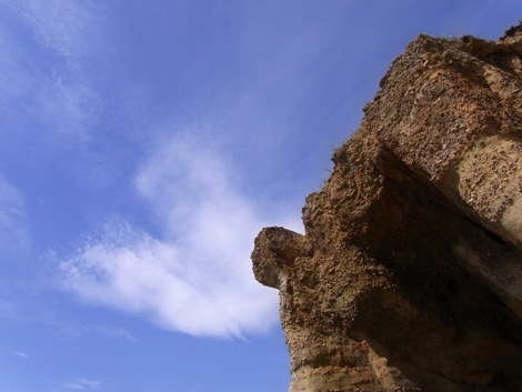 R0011289