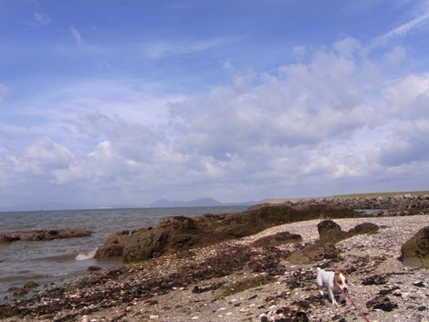 R0011293