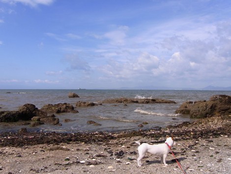 R0011295