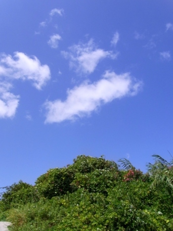 R0012686