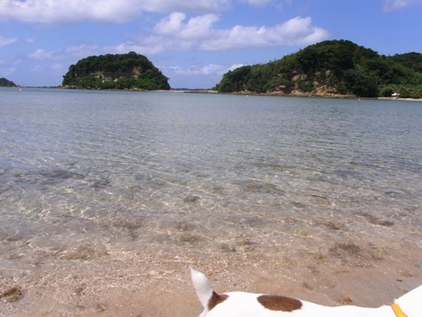 R0012697