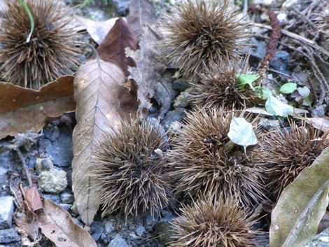R0012773