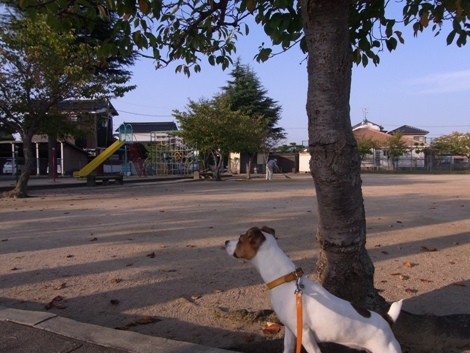 R0012974