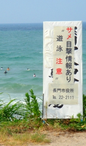 Dsc04293