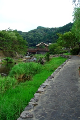 Dsc04301