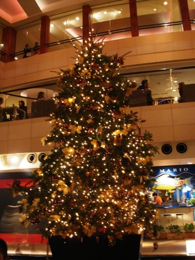 Tree2